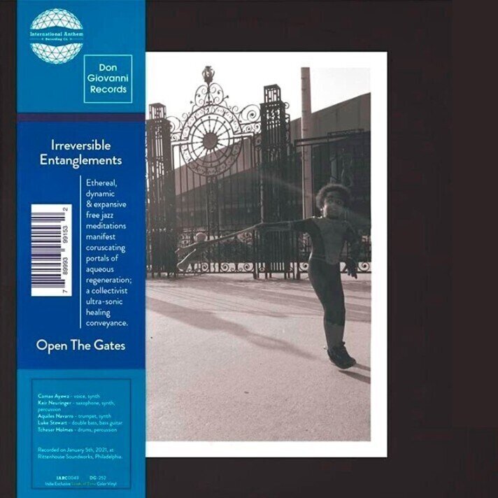 LP ploča Irreversible Entanglements - Open The Gates (2 LP)