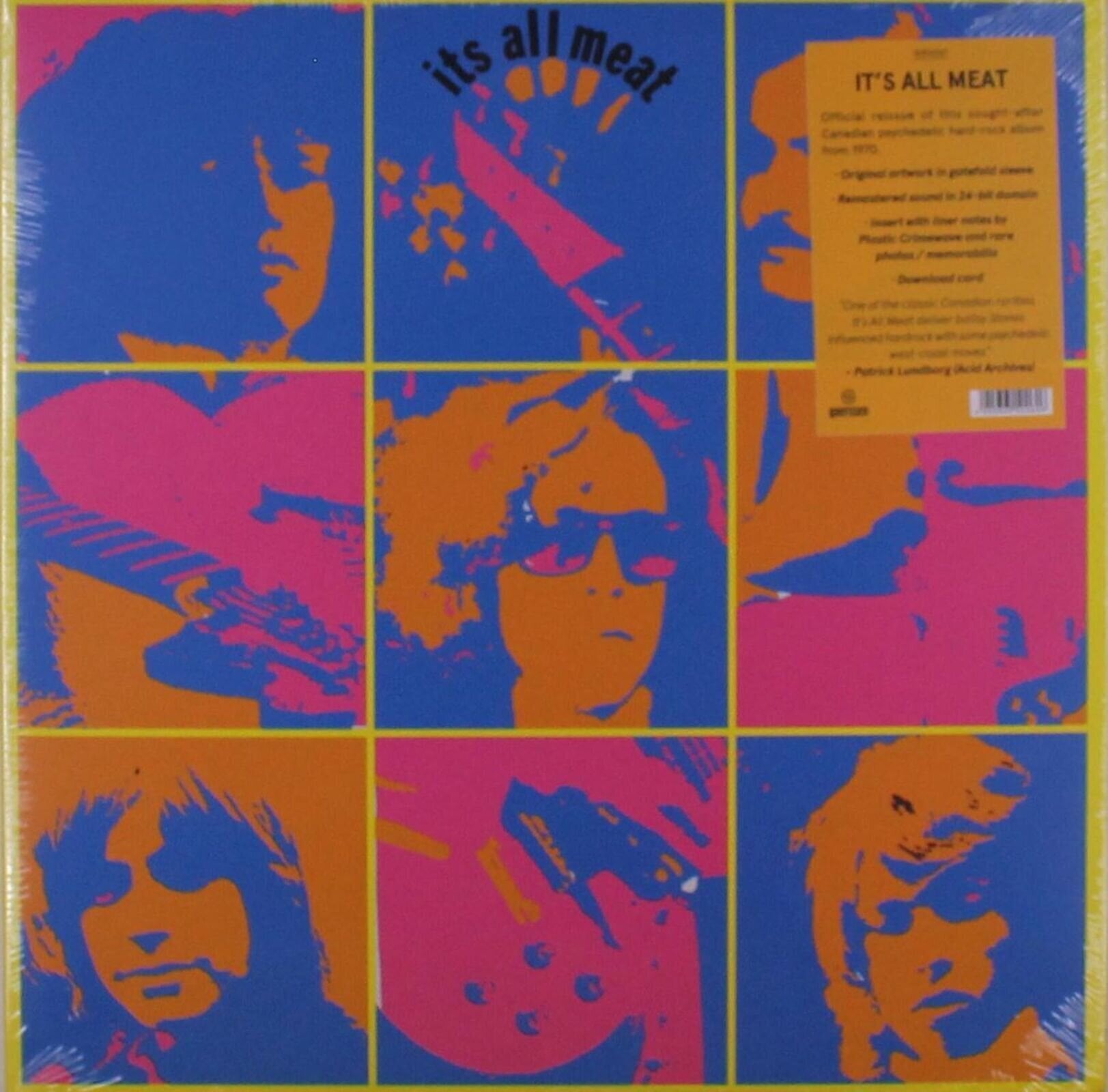 LP platňa It's All Meat - It's All Meat (Reissue) (LP)