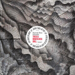 LP ploča Hypnotic Brass Ensemble - This Is A Mindfulness Drill (Coloured) (LP)