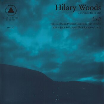 Disc de vinil Hilary Woods - Colt (Limited Edition) (Clear Coloured) (LP) - 1
