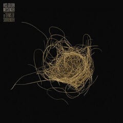 Disque vinyle Hiss Golden Messenger - Terms Of Surrender (LP)