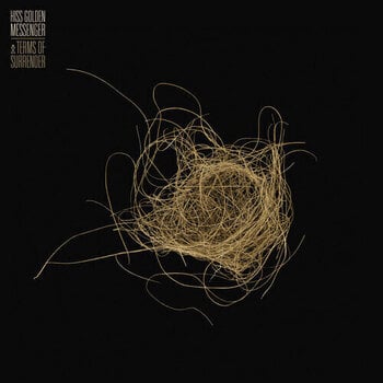LP ploča Hiss Golden Messenger - Terms Of Surrender (LP) - 1