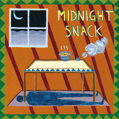 Disco de vinil Homeshake - Midnight Snack (LP)
