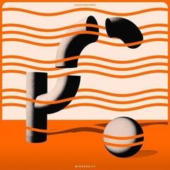 LP ploča Hookworms - Microshift (LP)