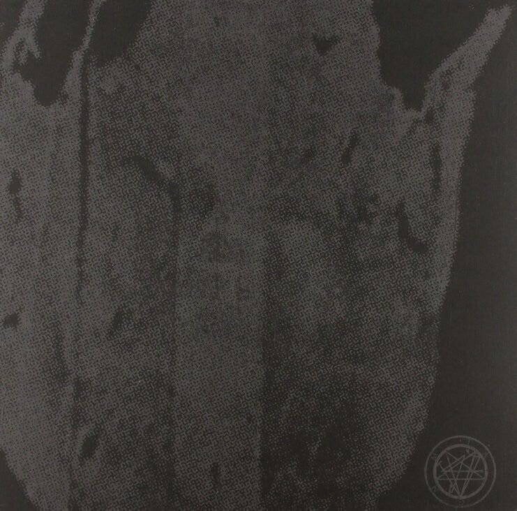 LP plošča Hollow Sunshine /The Austrasian Goat  - Split (10" Vinyl)