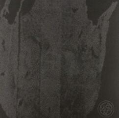 LP ploča Hollow Sunshine /The Austrasian Goat  - Split (10" Vinyl)