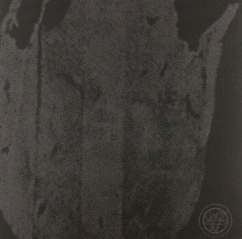 LP plošča Hollow Sunshine /The Austrasian Goat  - Split (10" Vinyl) - 1