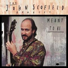 Disque vinyle John Scofield - Meant To Be (2 LP)