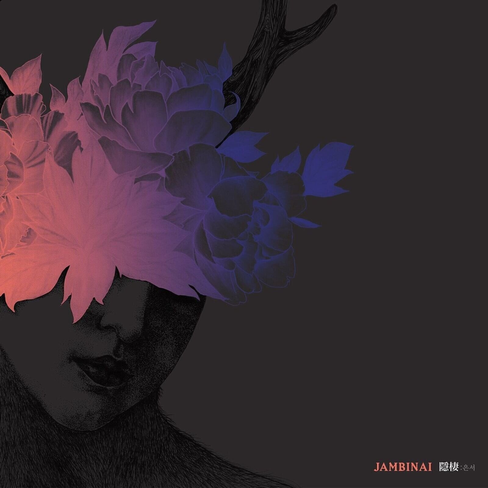 Disc de vinil Jambinai - A Hermitage (隱棲:은서) (LP)