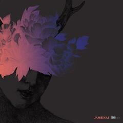 Vinylplade Jambinai - A Hermitage (隱棲:은서) (LP)