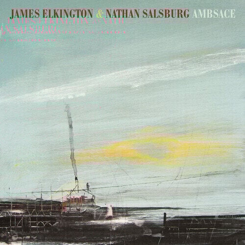 Disc de vinil James Elkington & Nathan Salsburg - Ambsace (LP)