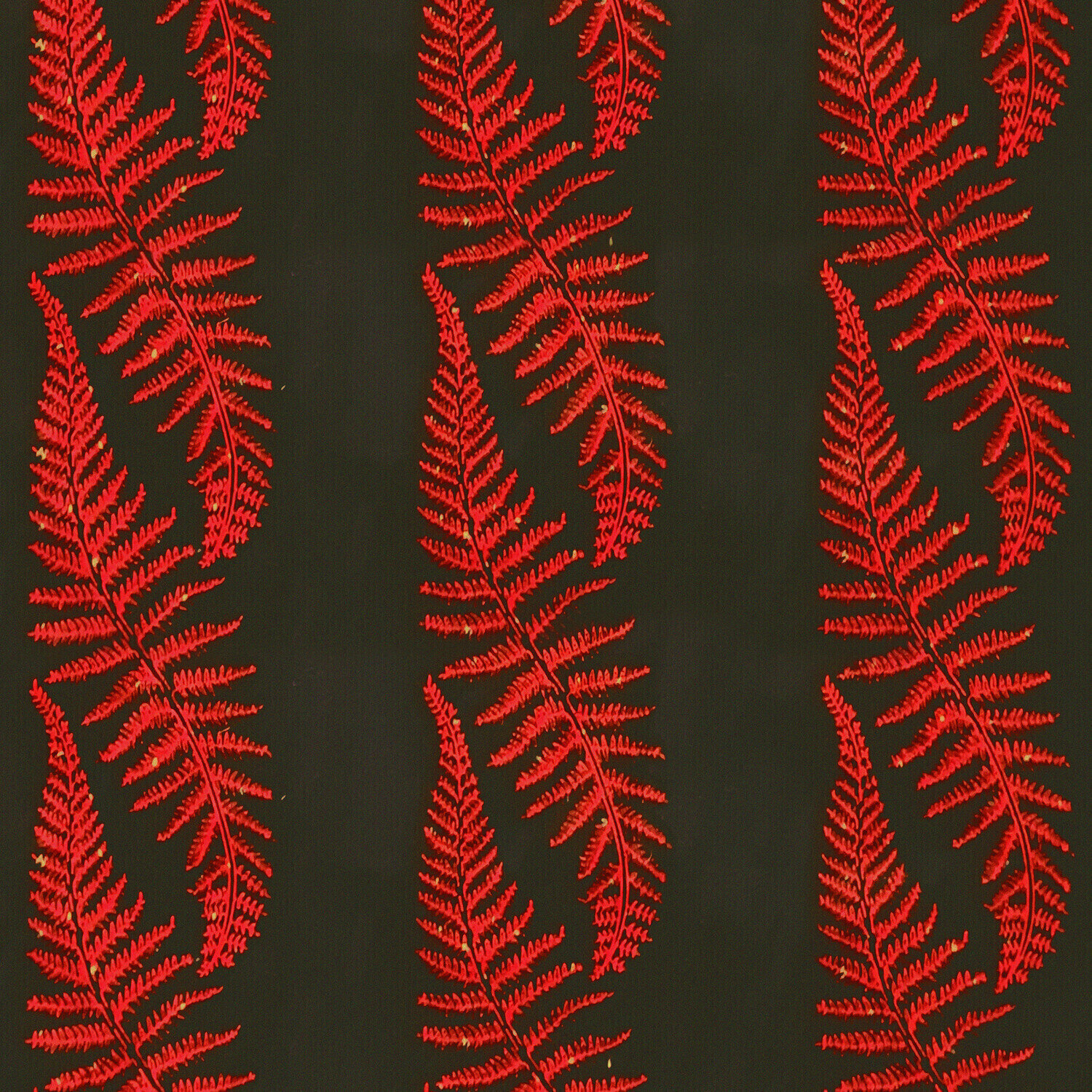 Disc de vinil Jako Maron - The Electro Maloya Experiments Of Jako Maron (Limited Edition) (2 LP)