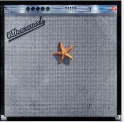 Vinyl Record The Neighbourhood - (((((Ultrasound)))))+ (Coloured) (140 g) (2 LP)