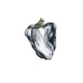 Ween - White Pepper (Green Coloured) (140 g) (LP)