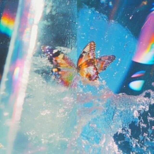 Glasbene CD Daphni - Butterfly (CD)