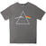 T-Shirt Pink Floyd Dark Side of the Moon Album Grey 2XL T-Shirt
