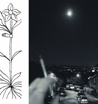 Płyta winylowa Jabu - A Soft & Gatherable Star (LP) - 1