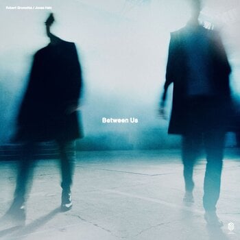 Disc de vinil Robert Gromotka & Jonas Hain - Between Us (LP) - 1