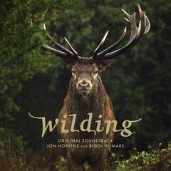 Glasbene CD Jon Hopkins & Biggi Hilmars - Wilding (Original Soundtrack) (CD)