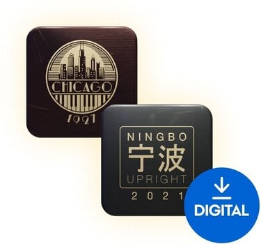 VST Instrument Boz Digital Labs Upright Bundle (Digitalni proizvod) - 1