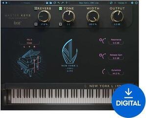 VST Instrument Boz Digital Labs New York L 1991 Lite (Digital produkt)