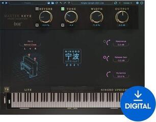 VST Instrument Boz Digital Labs Ningbo Upright 2021 Lite (Produto digital)