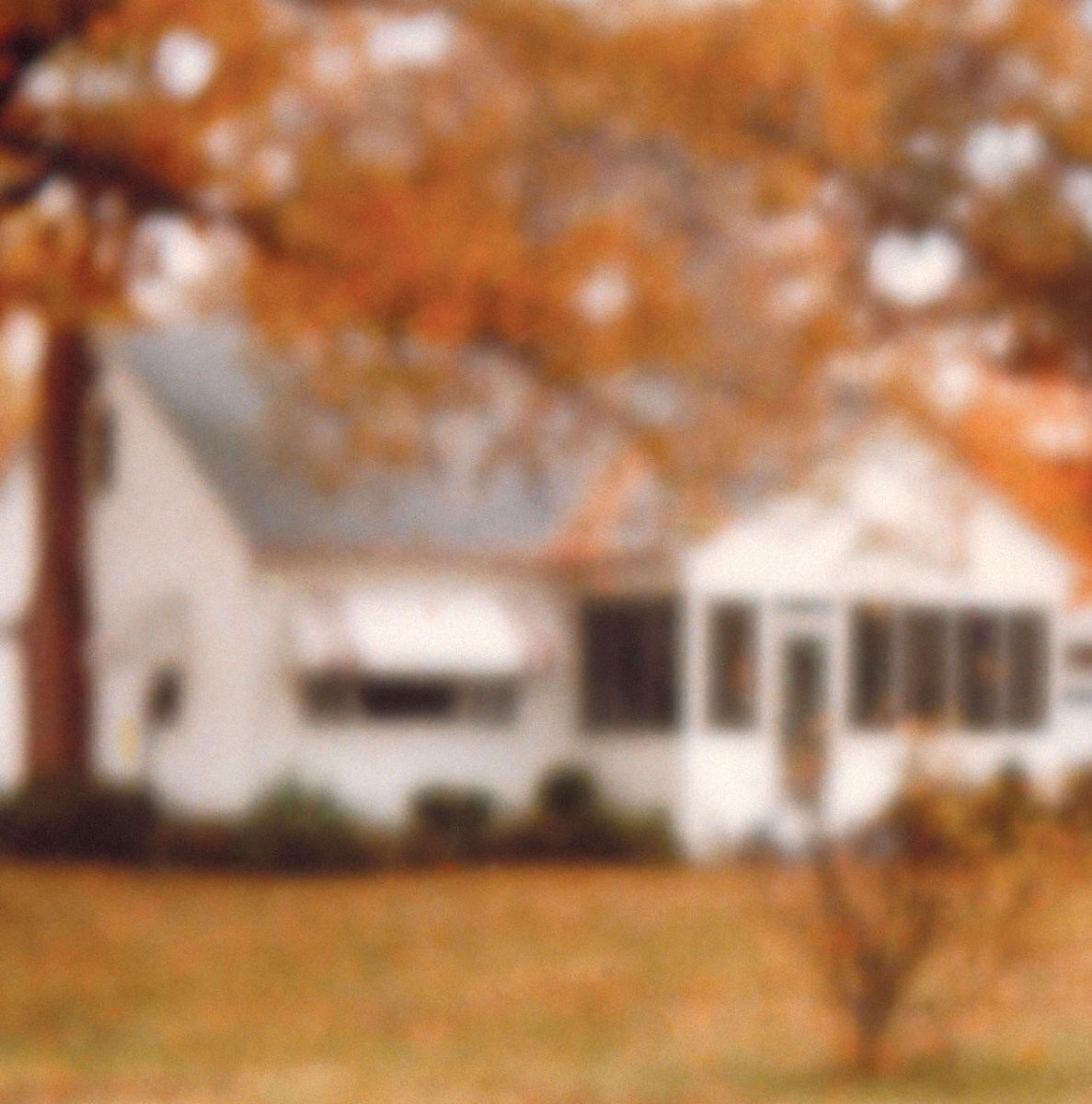 LP ploča Lungfish Rainbows From Atoms (Reissue) (LP)