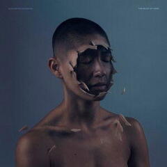 Vinylplade Manchester Orchestra - The Valley Of Vision (Limited Edition) (EP)