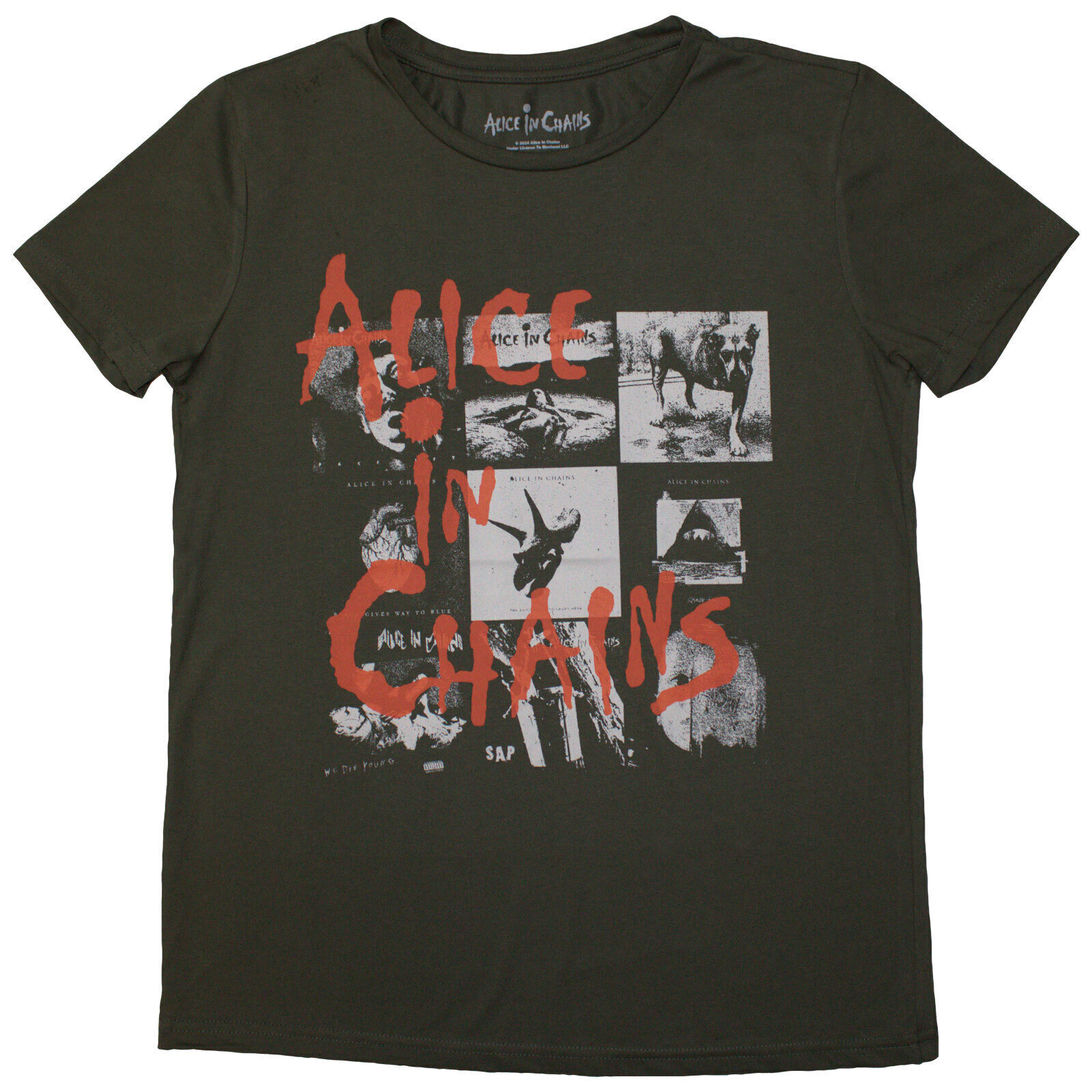 T-shirt Alice In Chains Albums Montage Green 2XL Feminino T-shirt