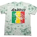 Bob Marley Rasta Colours (Wash Collection) Green M T-särk