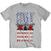 T-shirt Guns N' Roses US Flag in Logo Heather Grey M T-shirt