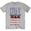 Guns N' Roses US Flag in Logo Heather Grey L T-Shirt