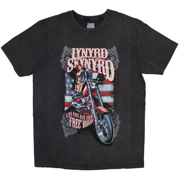 T-shirt Lynyrd Skynyrd Ride Free Charcoal Grey 2XL T-shirt - 1