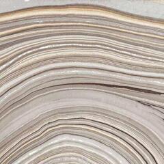 LP ploča Zomes - Time Was (LP)