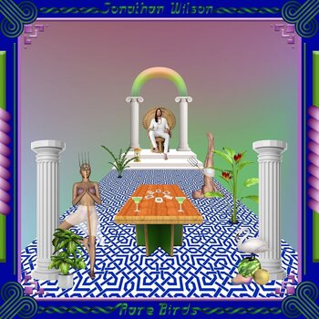 Disc de vinil Jonathan Wilson - Rare Birds (2 LP) - 1