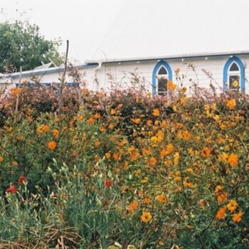 Disco de vinil Kane Strang - Blue Cheese (LP) - 1