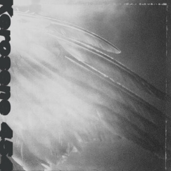 LP plošča Kerosene 454 - Came By To Kill Me (LP) - 1