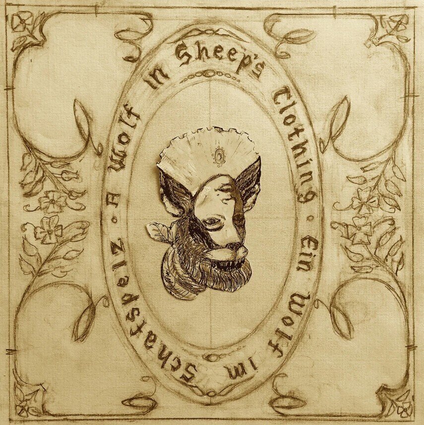 LP ploča Josephine Foster - A Wolf In Sheep's Clothing (LP)