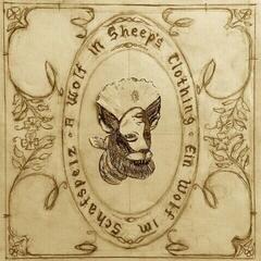 Disco de vinil Josephine Foster - A Wolf In Sheep's Clothing (LP)