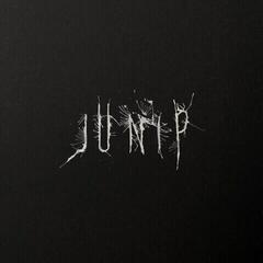 LP ploča Junip - Junip (180 g) (LP)