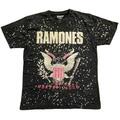 Ramones Eagle (Wash Collection) Black M T-Shirt