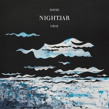 Грамофонна плоча David Gray - Nightjar (2 LP) - 1