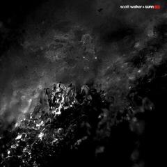 Vinyl Record Scott Walker & Sunn O))) - Soused (2 LP)