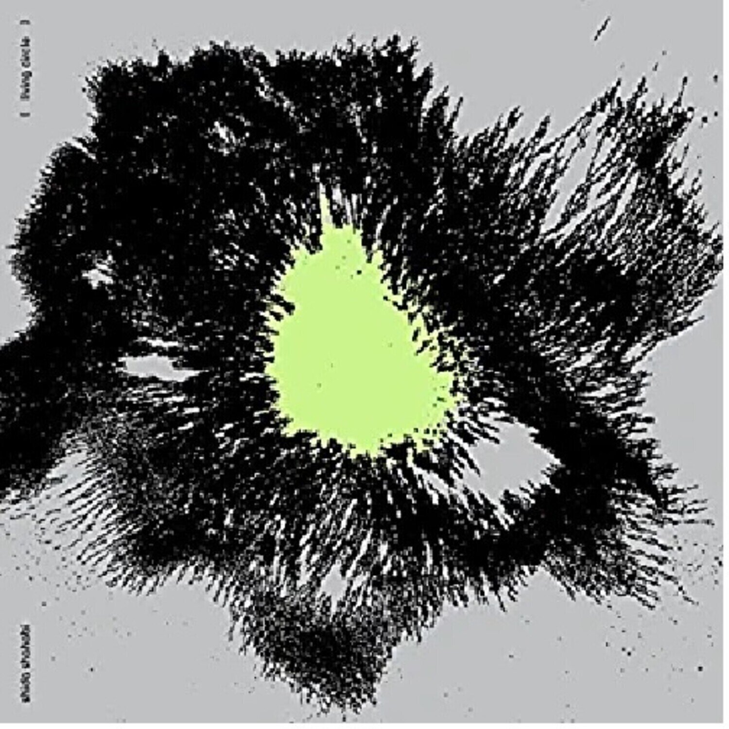 Vinyl Record Shida Shahabi - Living Circle (LP)