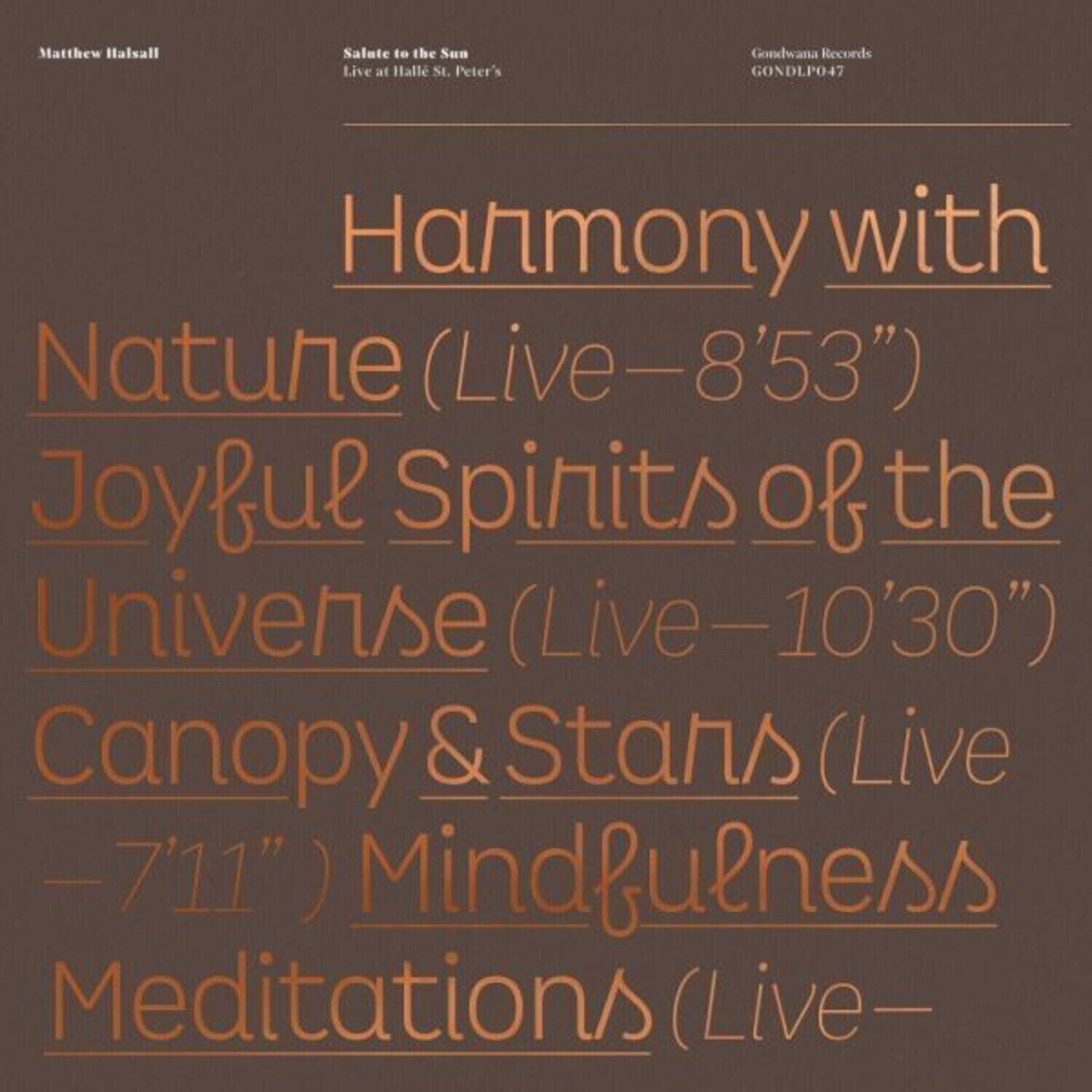 LP Matthew Halsall - Salute To The Sun (Live At Hallé St. Peter's) (2 LP)