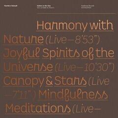 Vinyl Record Matthew Halsall - Salute To The Sun (Live At Hallé St. Peter's) (2 LP)