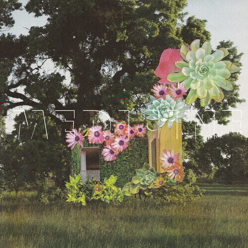 Vinyl Record Medicine - Home Everywhere (LP)