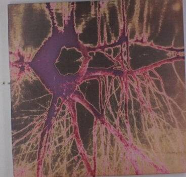 Vinyl Record Use Of Ashes - Firetree (2 LP) - 1