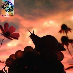 Δίσκος LP No Joy - Bugland (LP)