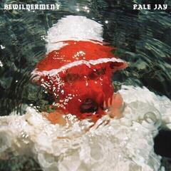 Vinyl Record Pale Jay - Bewilderment (LP)